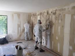 Best Mold Removal for HVAC Installations  in Elm Grove, WI